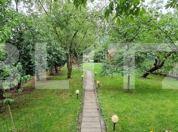 Casa de vânzare 6 camere Sagului - 165696CV | BLITZ Timișoara | Poza3