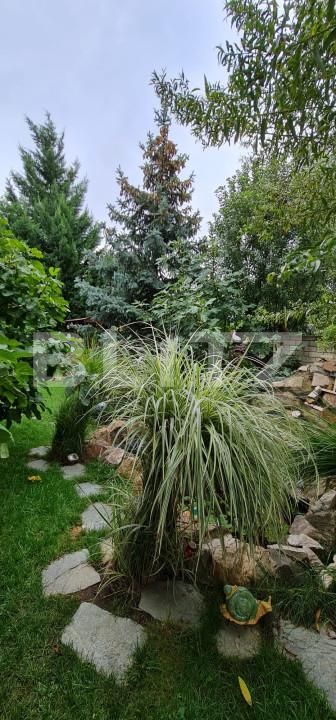 Casa de vânzare 6 camere Sagului - 165696CV | BLITZ Timișoara | Poza8