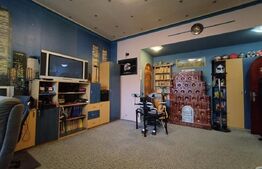 Apartament spațios, cu 4 camere, 155 mp, zona Catedrală și malul Begai