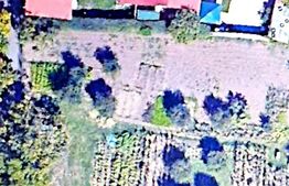 Teren de vânzare Remetea Mare - 162357TV - Poza 1 din 1 | BLITZ Timișoara | Poza1