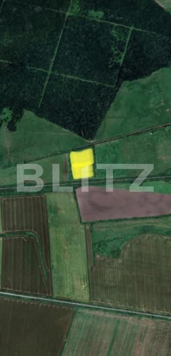 Teren de vânzare Pischia - 165835TV | BLITZ Timișoara | Poza1