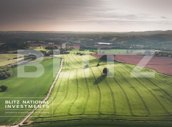 Spațiu industrial de vânzare Central - 165837SVI | BLITZ Timișoara | Poza6