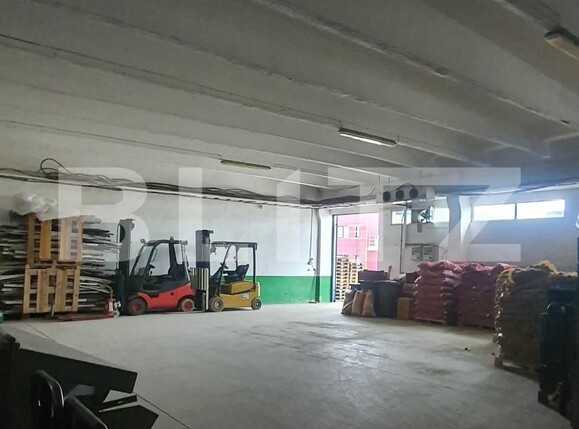Spațiu industrial de vânzare Freidorf - 165844SVI | BLITZ Timișoara | Poza2
