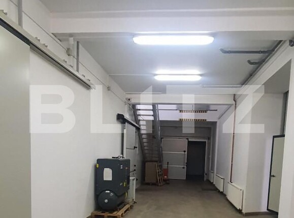 Spațiu industrial de vânzare Freidorf - 165844SVI | BLITZ Timișoara | Poza6
