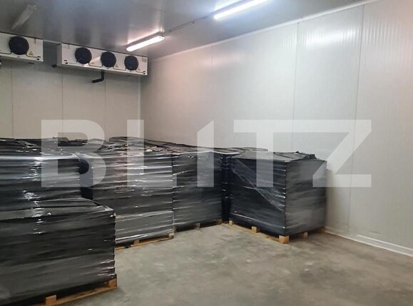 Spațiu industrial de vânzare Freidorf - 165844SVI | BLITZ Timișoara | Poza5