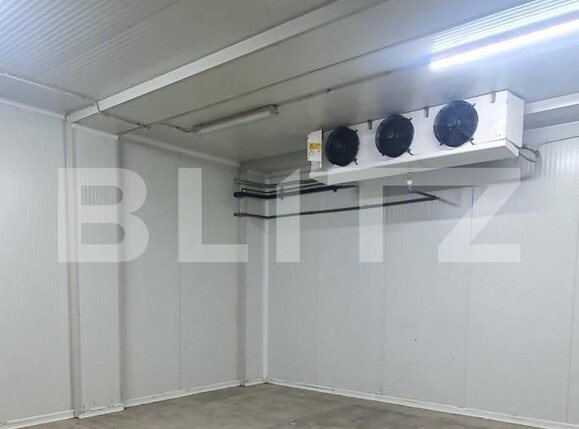 Spațiu industrial de vânzare Freidorf - 165844SVI | BLITZ Timișoara | Poza4