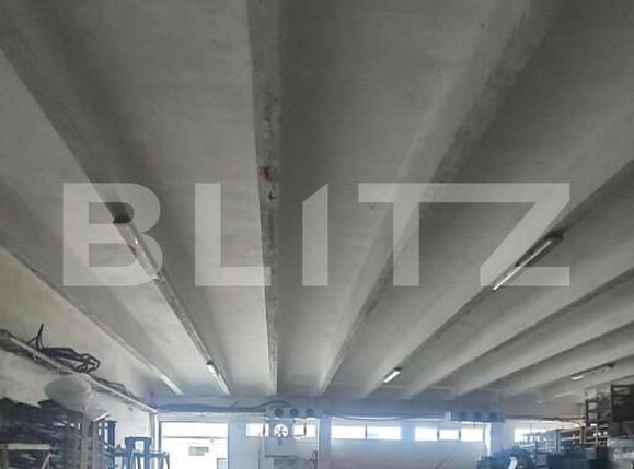 Spațiu industrial de vânzare Freidorf - 165844SVI | BLITZ Timișoara | Poza3