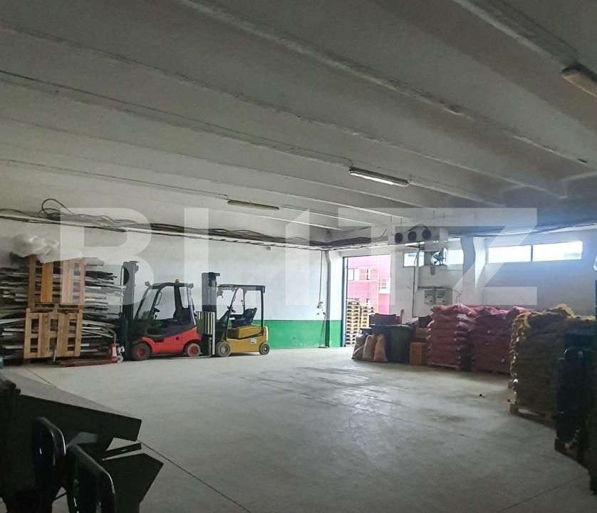 Spațiu industrial de vânzare Freidorf - 165844SVI | BLITZ Timișoara | Poza2
