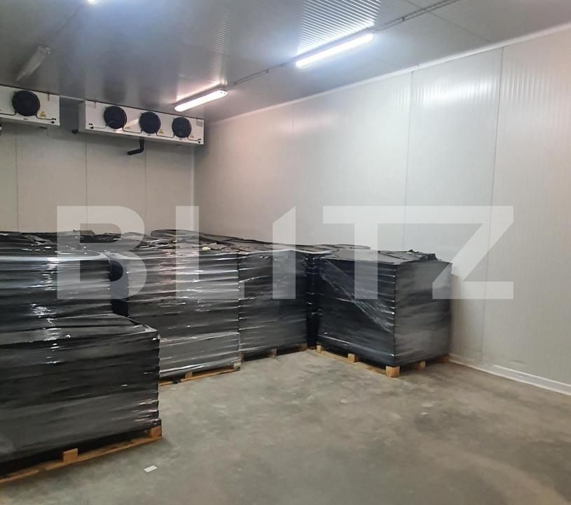 Spațiu industrial de vânzare Freidorf - 165844SVI | BLITZ Timișoara | Poza5