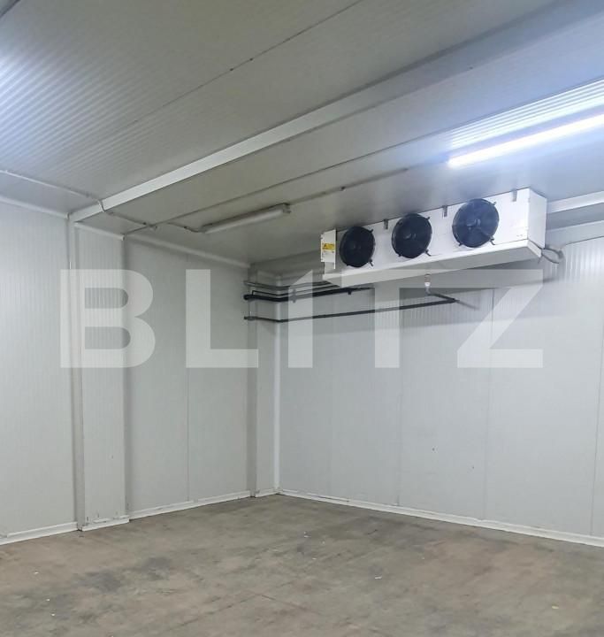 Spațiu industrial de vânzare Freidorf - 165844SVI | BLITZ Timișoara | Poza4