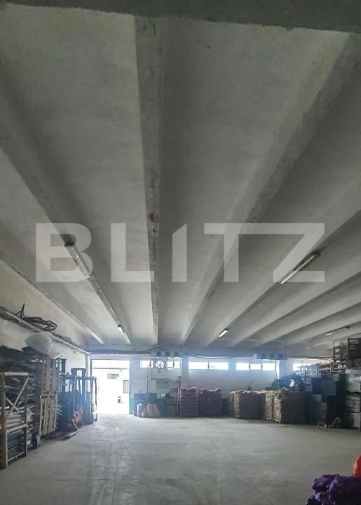 Spațiu industrial de vânzare Freidorf - 165844SVI | BLITZ Timișoara | Poza3