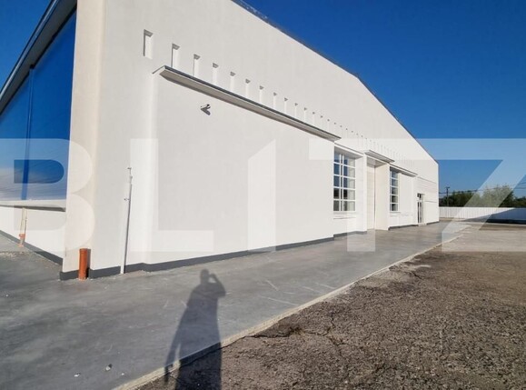 Spațiu industrial de vânzare Exterior Est - 165851SVI | BLITZ Timișoara | Poza7
