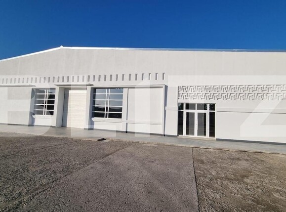 Spațiu industrial de vânzare Exterior Est - 165851SVI | BLITZ Timișoara | Poza6