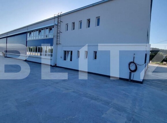 Spațiu industrial de vânzare Exterior Est - 165851SVI | BLITZ Timișoara | Poza4