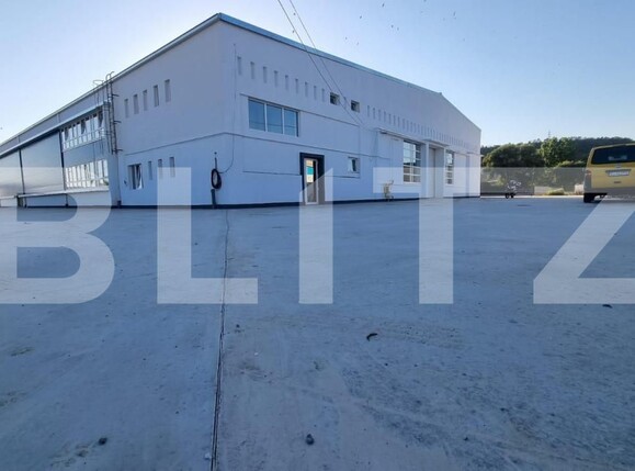 Spațiu industrial de vânzare Exterior Est - 165851SVI | BLITZ Timișoara | Poza3