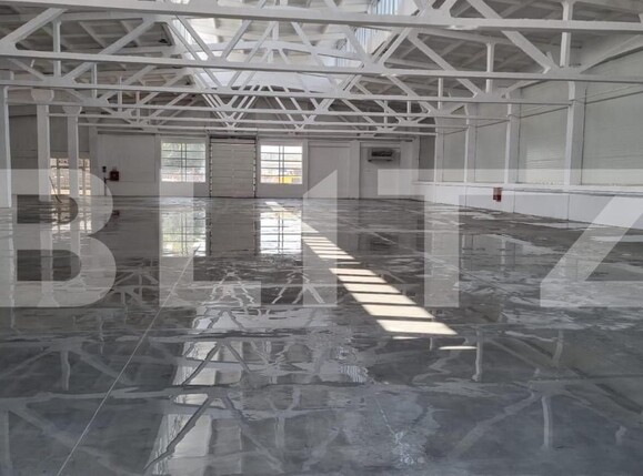 Spațiu industrial de vânzare Exterior Est - 165851SVI | BLITZ Timișoara | Poza9