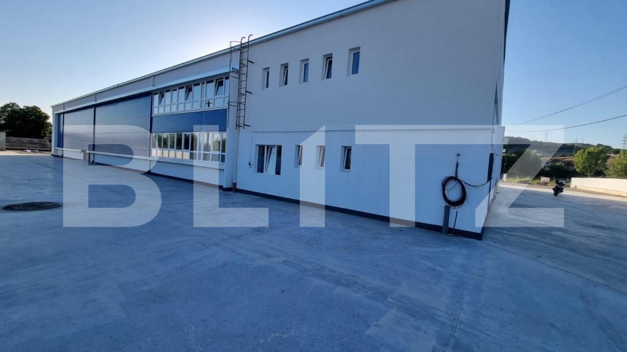 Spațiu industrial de vânzare Exterior Est - 165851SVI | BLITZ Timișoara | Poza4