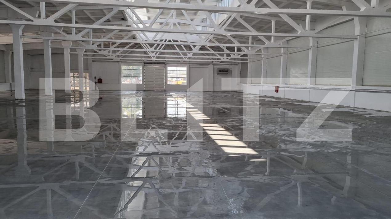 Spațiu industrial de vânzare Exterior Est - 165851SVI | BLITZ Timișoara | Poza9