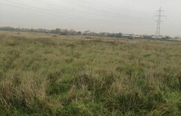 Teren intravilan 10.000 mp, front 50 ml, Timisoara!