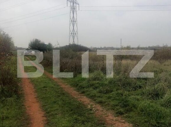Teren de vânzare Buziasului - 165859TV | BLITZ Timișoara | Poza2