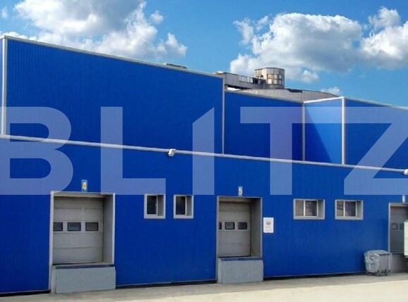 Spațiu industrial de vânzare Freidorf - 165861SVI | BLITZ Timișoara | Poza4