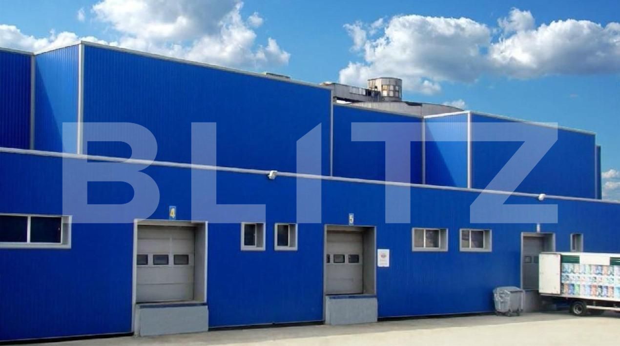 Spațiu industrial de vânzare Freidorf - 165861SVI | BLITZ Timișoara | Poza4