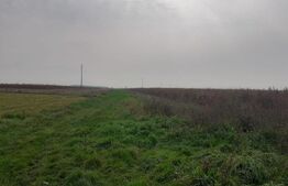 Teren de 5 ha, în zona Şagului lângă Centură