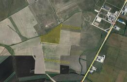 Teren de 5 ha, în zona Şagului lângă Centură
