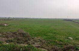 Teren de 5 ha, în zona Şagului lângă Centură