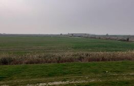 Teren de 5 ha, în zona Şagului lângă Centură