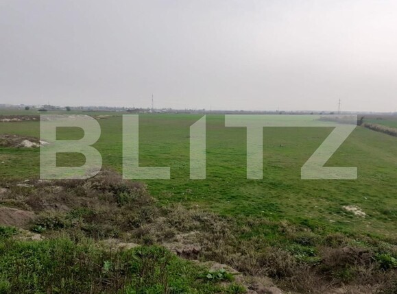 Teren de vânzare Sagului - 165863TV | BLITZ Timișoara | Poza4