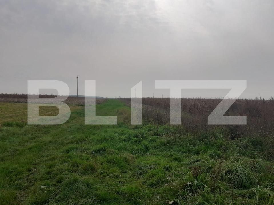 Teren de vânzare Sagului - 165863TV | BLITZ Timișoara | Poza2