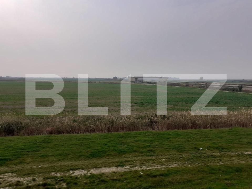 Teren de vânzare Sagului - 165863TV | BLITZ Timișoara | Poza3