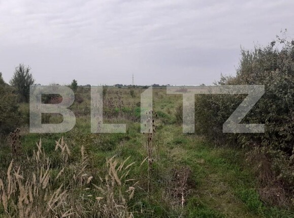 Teren de vânzare Garii - 165864TV | BLITZ Timișoara | Poza1