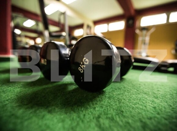 Spațiu comercial de vânzare Iosefin - 165865SVC | BLITZ Timișoara | Poza11