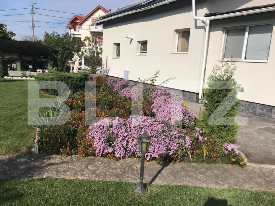 Casa de vânzare 11 camere Plopi - 165870CV | BLITZ Timișoara | Poza15