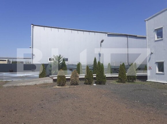 Spațiu industrial de vânzare Sagului - 165874SVI | BLITZ Timișoara | Poza3