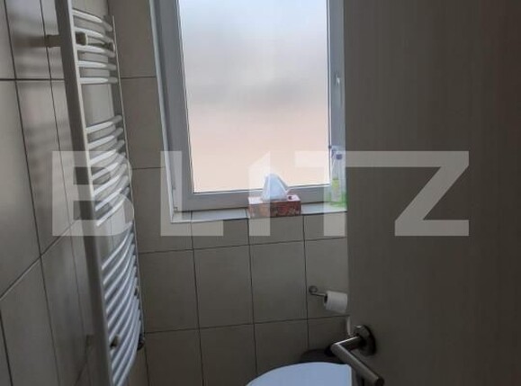 Spațiu industrial de vânzare Sagului - 165875SVI | BLITZ Timișoara | Poza11