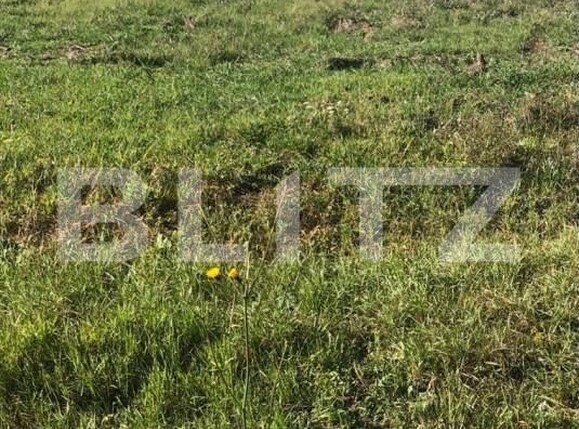 Teren de vânzare Exterior Sud - 165884TV | BLITZ Timișoara | Poza2