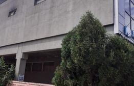 Clădire multifuncțională,1160 mp, zonă Semicentrală