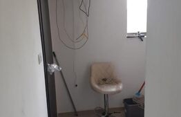 Hala de 245 mp, teren de 2198 mp, pe artera principala, Dumbravita