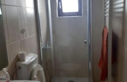 Hala de 245 mp, teren de 2198 mp, pe artera principala, Dumbravita