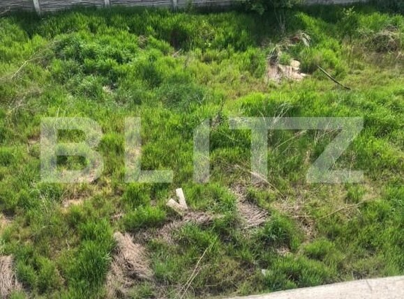 Casa de vânzare 12 camere Bucovina - 165898CV | BLITZ Timișoara | Poza8