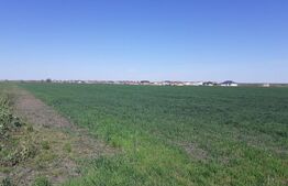 Teren cu suprafață de 3 ha, front 52 m, zona Calea Aradului