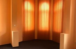 Cladire istorica in zona pietonala, 780 mp! Timisoara!