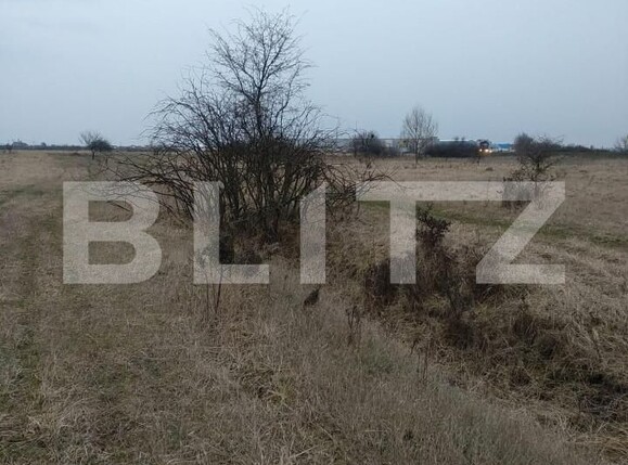 Teren de vânzare Ghiroda - 165906TV | BLITZ Timișoara | Poza1