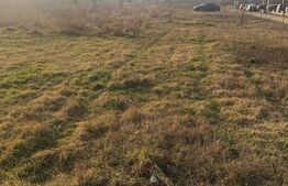 Teren extravilan, 7200 mp, in Giroc langa Timisoara!