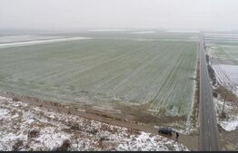 Oportunitate! Teren extravilan, 50000 mp, Parta!