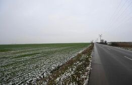 Oportunitate! Teren extravilan, 50000 mp, Parta!