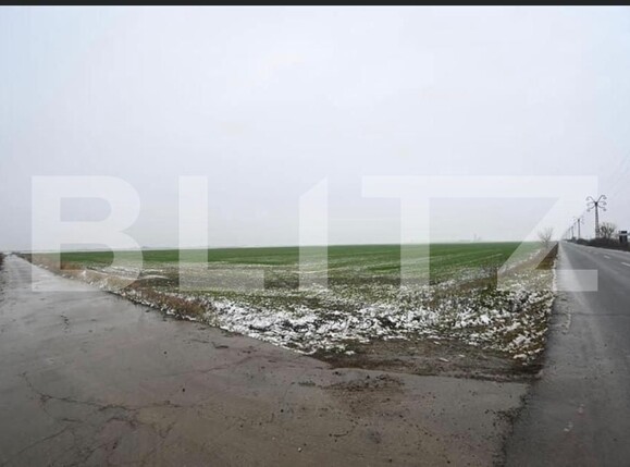 Teren de vânzare Exterior Sud - 165910TV | BLITZ Timișoara | Poza2